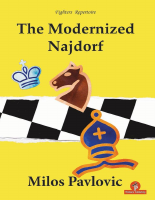 The Modernized Najdorf.pdf